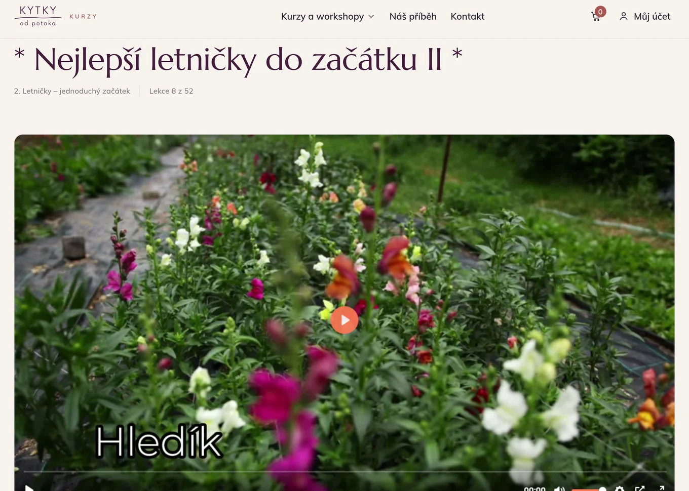 Stránka lekce s videem